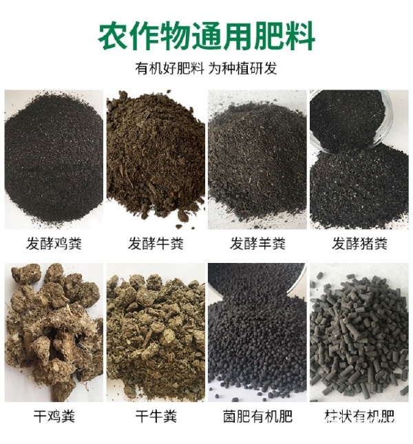 农家自有牧场自然晾晒有机肥料干牛粪种花种菜发酵牛屎